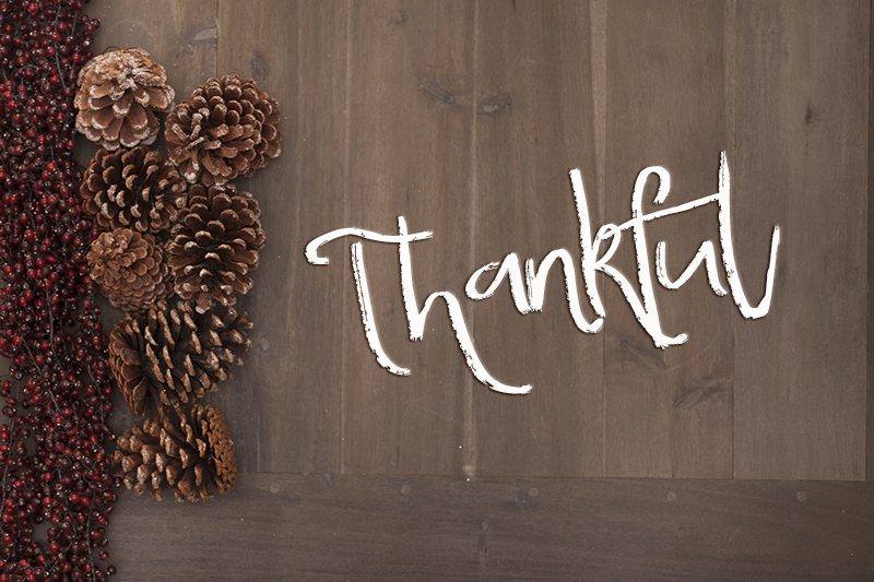 What Are You Thankful For?